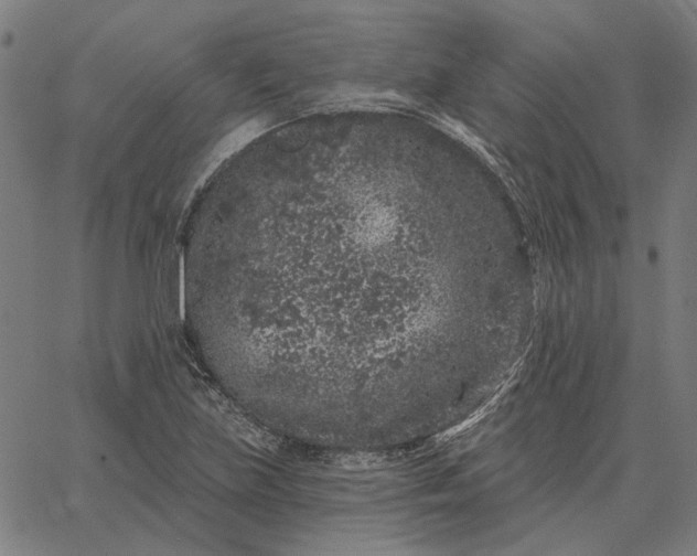 X0000065261219200603031820