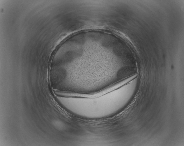 X0000065261220200603031820