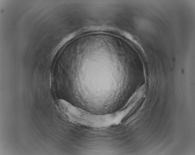 X0000065261221200603031820