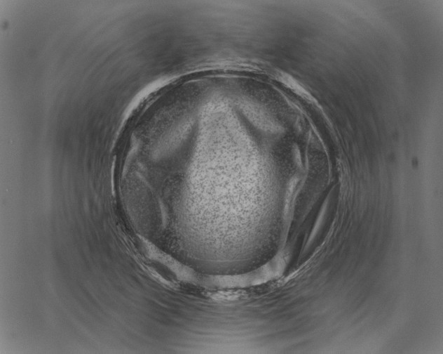 X0000065261222200603031820