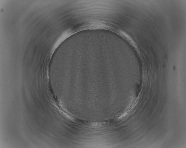 X0000065261226200603031820