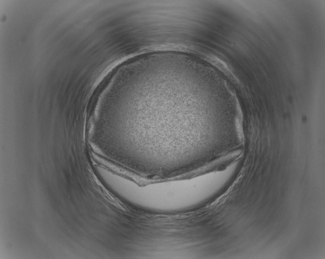 X0000065261228200603031820