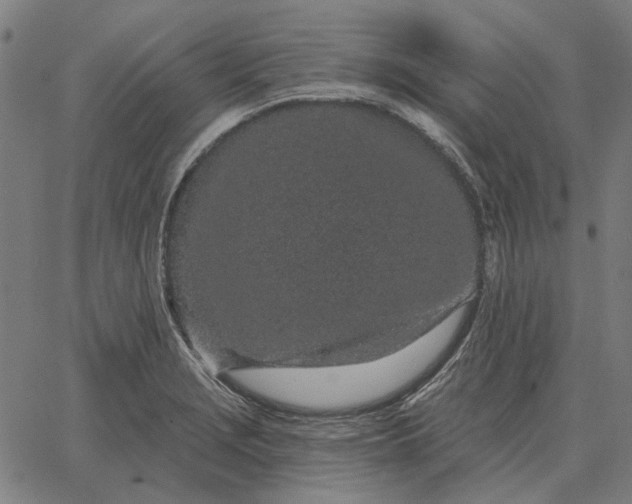 X0000065261229200603031820