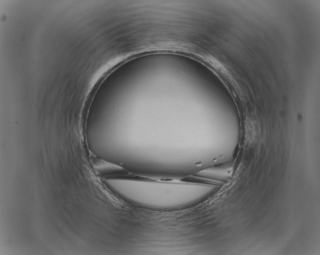 X0000065261230200603031820