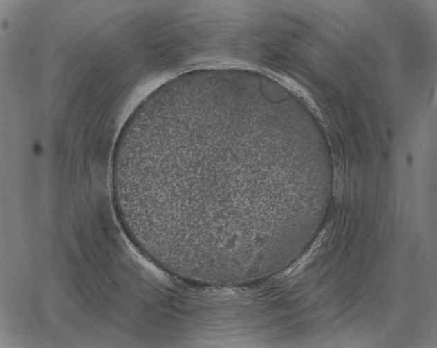 X0000065261231200603031820