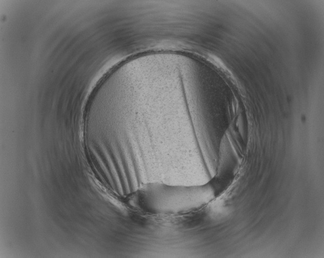 X0000065261232200603031820