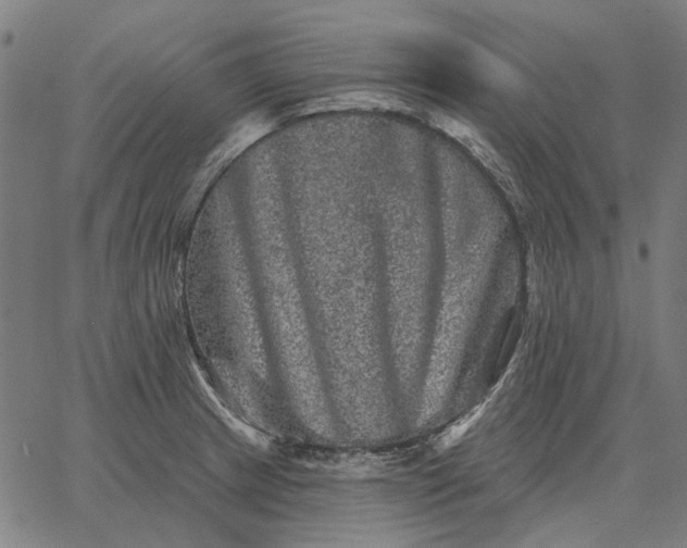 X0000065261233200603031820