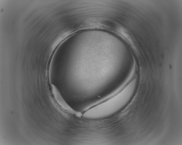 X0000065261234200603031820