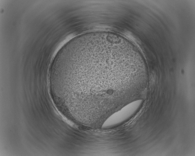 X0000065261235200603031820