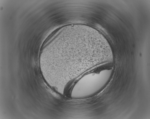 X0000065261236200603031820