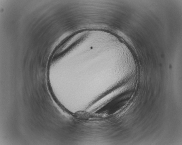 X0000065261237200603031820