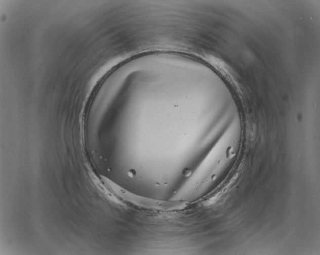 X0000065261238200603031820