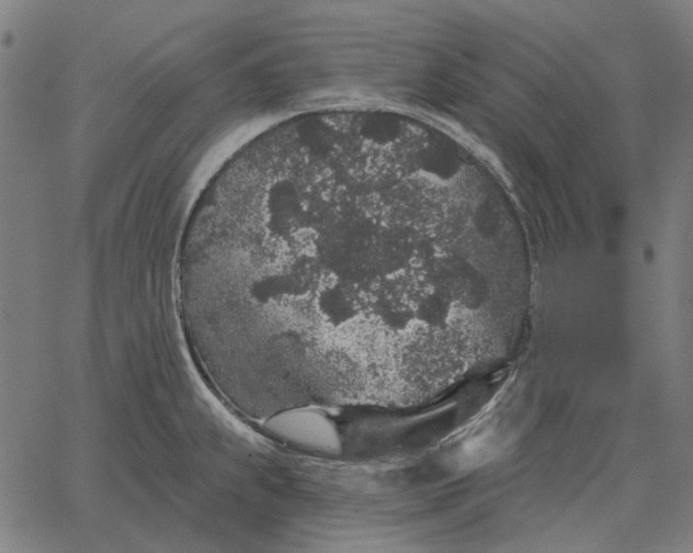 X0000065261239200603031820