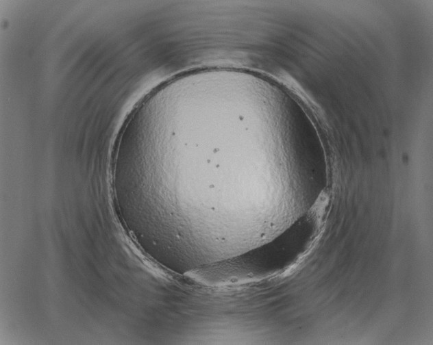 X0000065261240200603031820