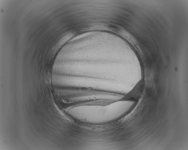 X0000065261241200603031820