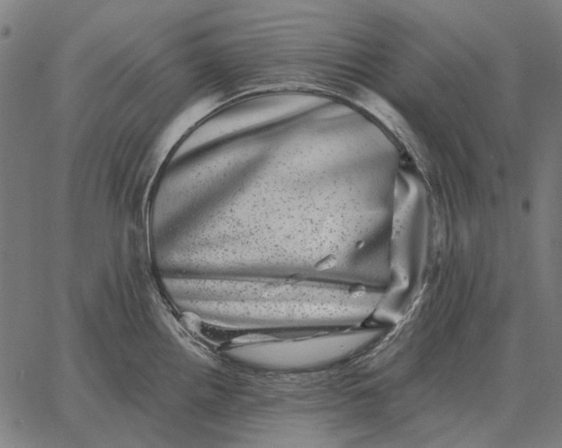 X0000065261242200603031820