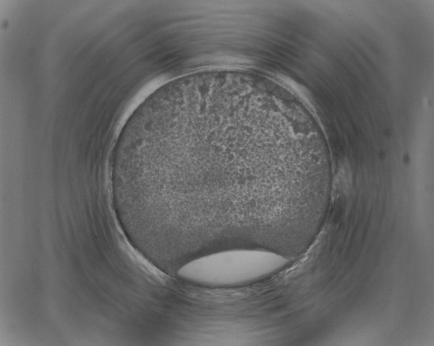 X0000065261243200603031820