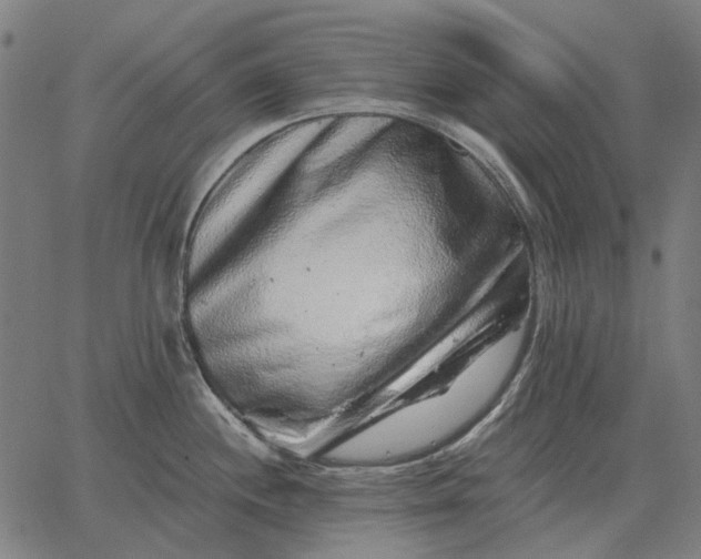 X0000065261244200603031820