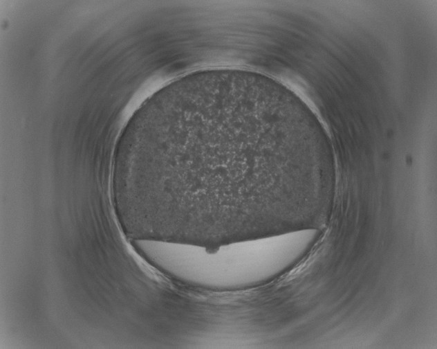 X0000065261245200603031820