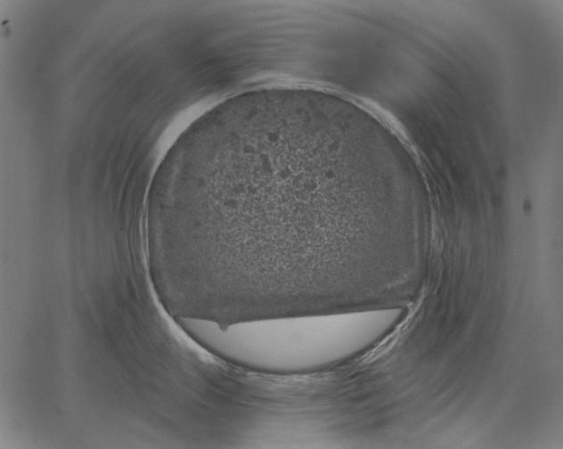 X0000065261247200603031821