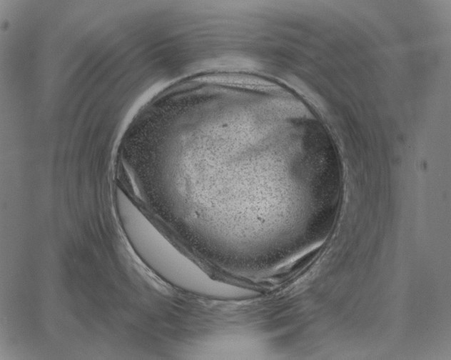 X0000065261248200603031821