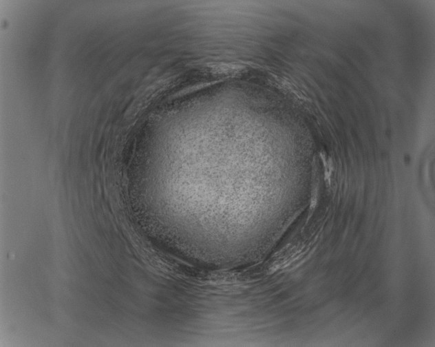 X0000065261249200603031820