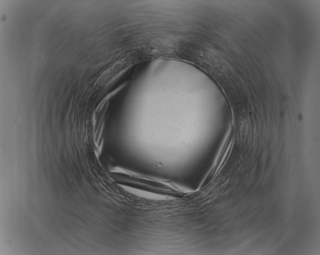 X0000065261250200603031820