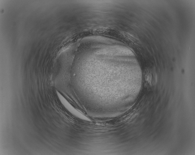 X0000065261252200603031820