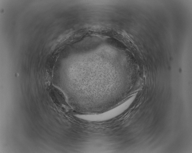 X0000065261253200603031820