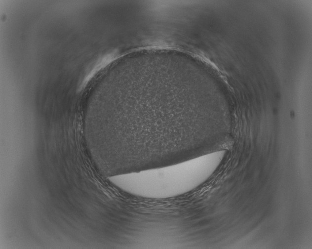 X0000065261255200603031820