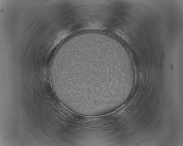 X0000065261258200603031820