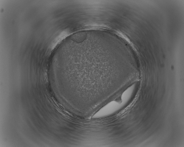 X0000065261259200603031820