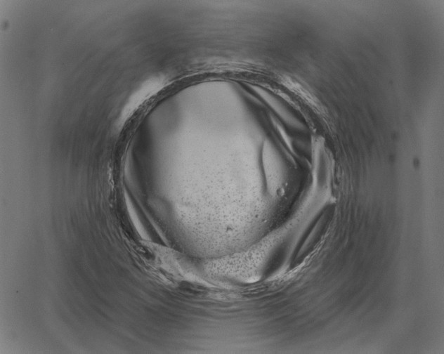 X0000065261261200603031820