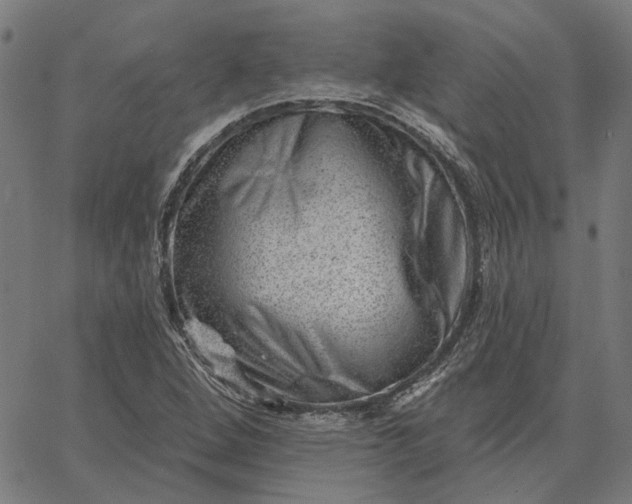 X0000065261264200603031819