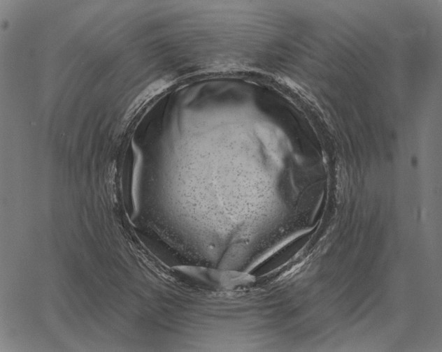 X0000065261265200603031819