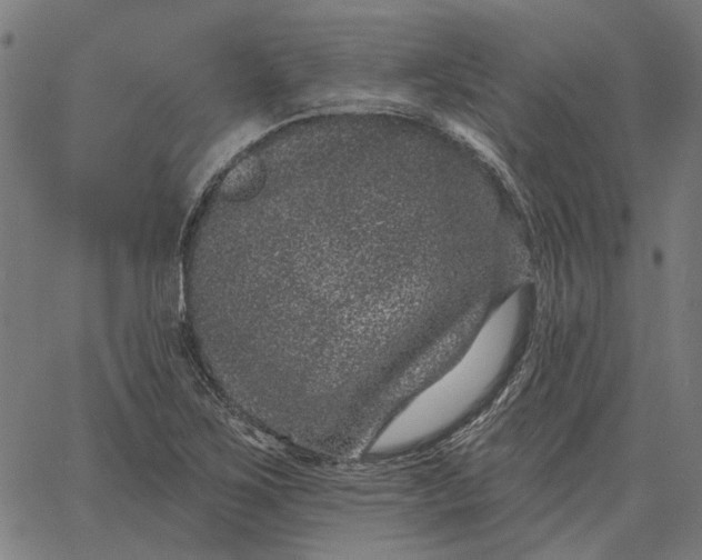 X0000065261267200603031819