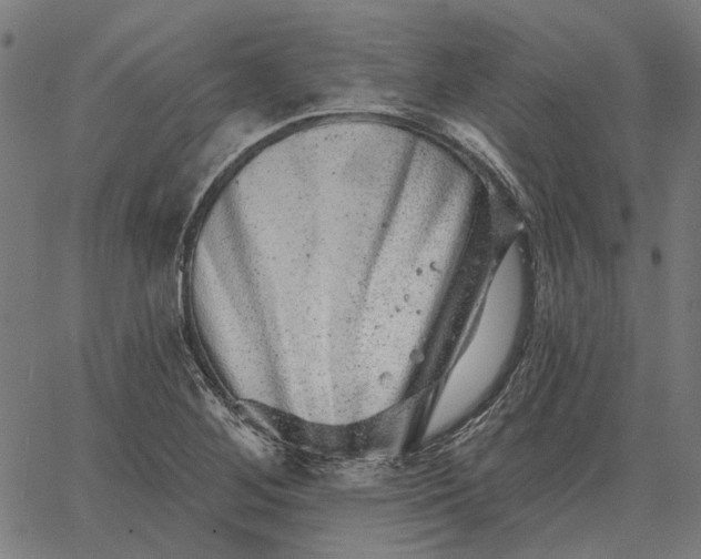 X0000065261268200603031819