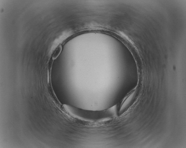 X0000065261269200603031819