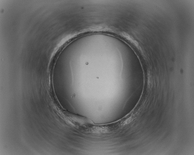 X0000065261270200603031819