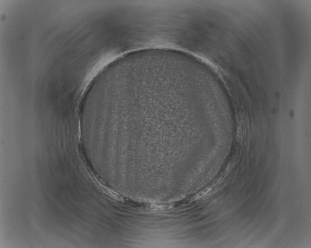 X0000065261271200603031819