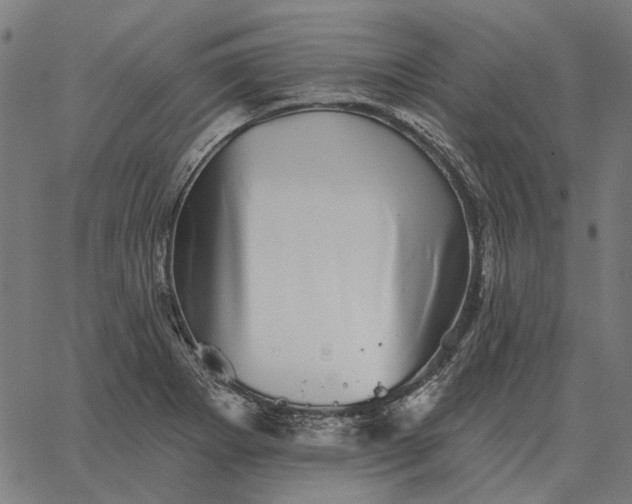 X0000065261273200603031819