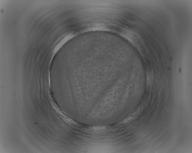 X0000065261274200603031819