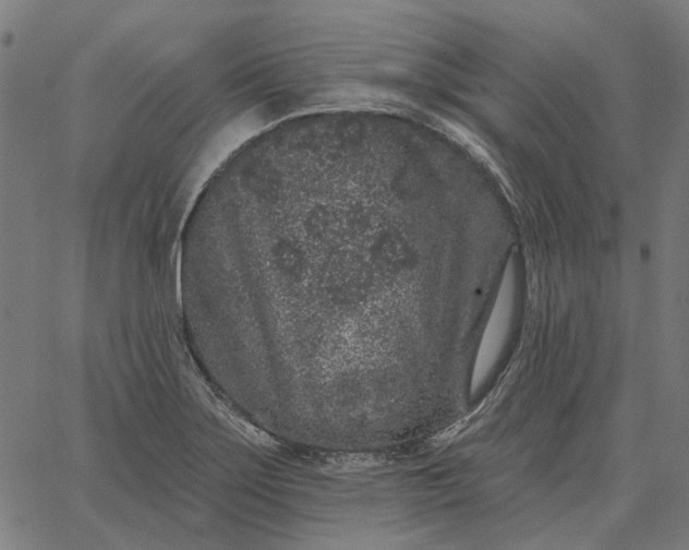 X0000065261275200603031819