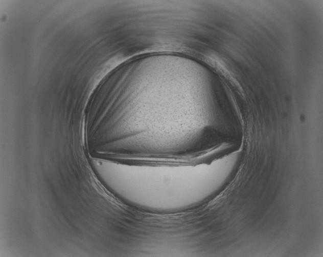 X0000065261276200603031819