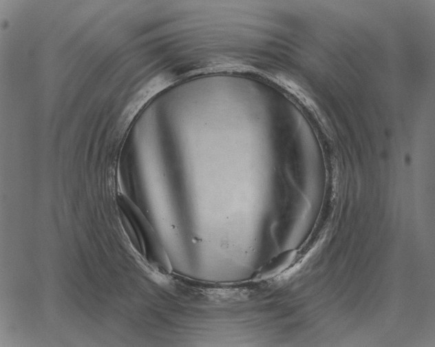 X0000065261281200603031819