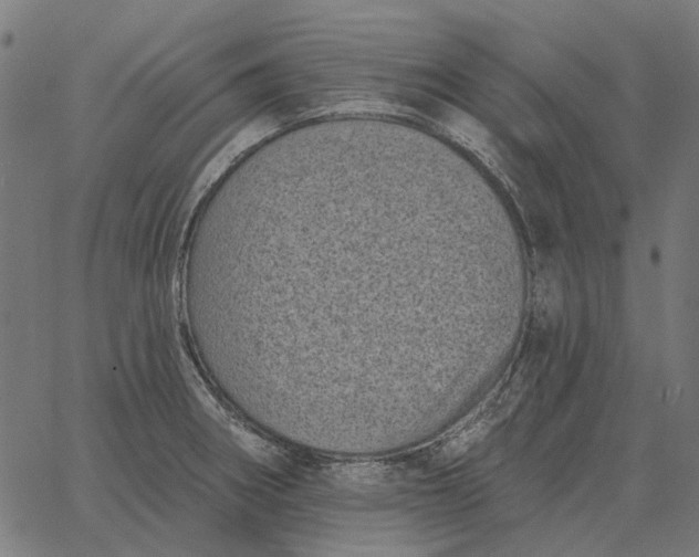 X0000065261282200603031819