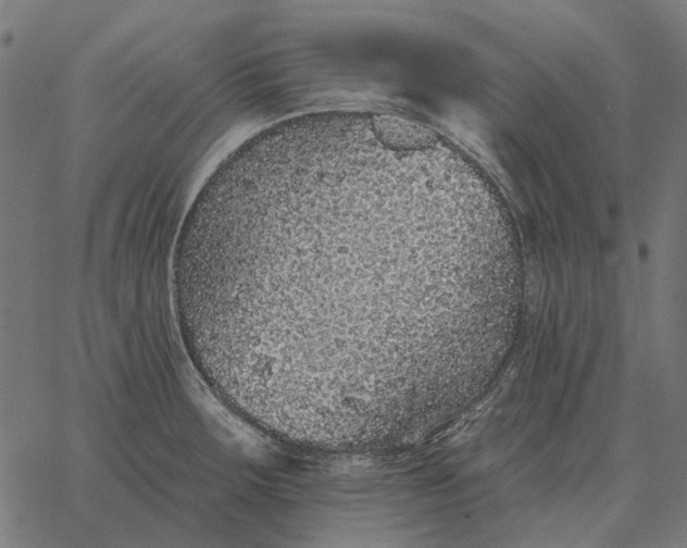 X0000065261283200603031819