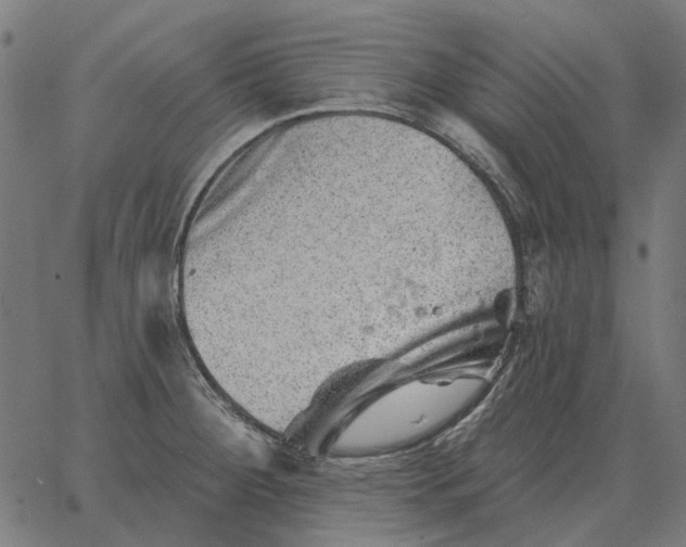 X0000065261284200603031819