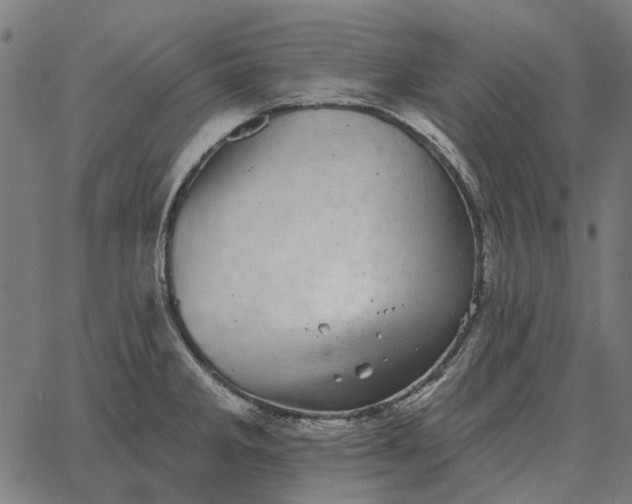 X0000065261285200603031819