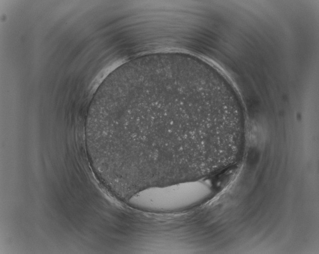 X0000065261289200603031819